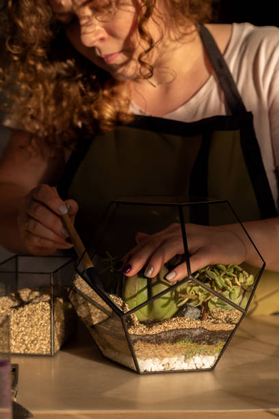 istock Girl Making Florarium in sunlight 1250277613