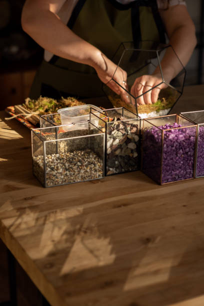 istock Girl Making Florarium in sunlight 1250278155