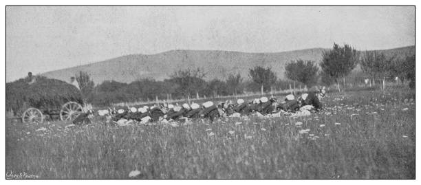 istock Antique photograph of British Navy and Army: Training 1250284633