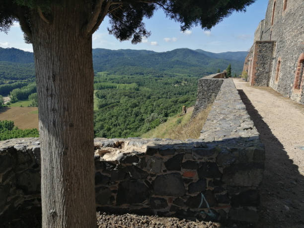istock tree in the fortress 1250288725