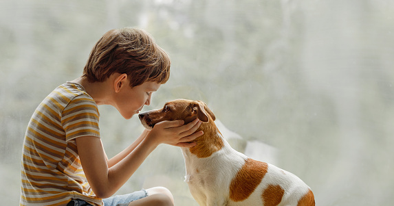 Child kisses the dog in nose on the window. Friendship, care, happy childhood concept.