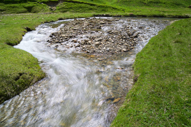 Creek in Canfranc Valley, Pyrenees, Huesca province, Aragon, Spain. in Canfranc-Estación, Aragón, Spain