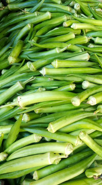 istock photo with many okra forming a patterned texture 1250293170