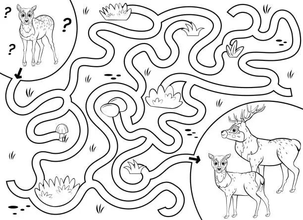 Vector illustration of Help the little lost fawn find the way to his family. Maze or labyrinth game for preschool children. Puzzle. Tangled road. Black and white for coloring. Forest animals for kids.