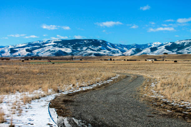 istock Montana Dirt Road 1250297193