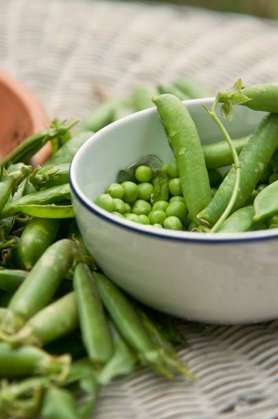 istock Peas in the pod 1250297298