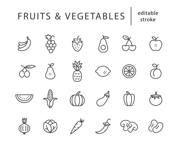 owoce i warzywa - ikona linii ustawiona z edytowalnym skokiem. prosty zarys kolekcji żywności. ikony zdrowej żywności. ilustracja wektorowa. - grape nature design berry fruit stock illustrations