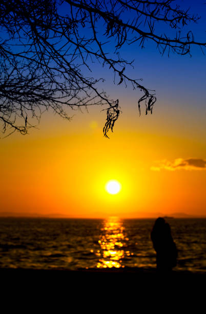 istock People Silhouette and the Sea in Sunset 1250302464