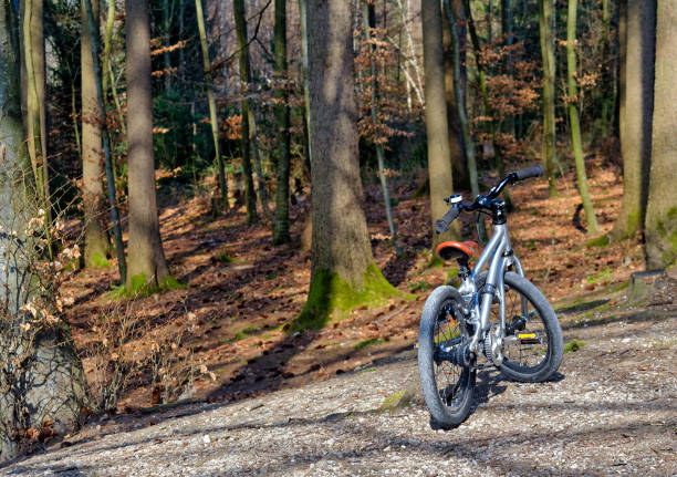 istock Children's bicycle at the edge of forest 1250302474