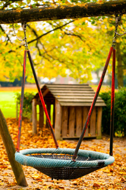 istock Swing and Dry Autumn Leaves in nature 1250302589