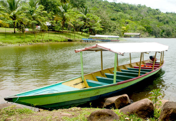 istock beautiful lake in the peruvian jungle 1250304906