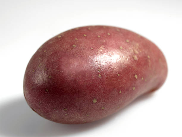 roseval potato solanum tuberosum gegen weiss hintergrund - roseval stock-fotos und bilder
