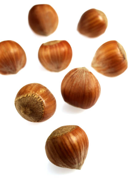 istock HAZELNUTS corylus avellana AGAINST WHITE BACKGROUND 1250306309