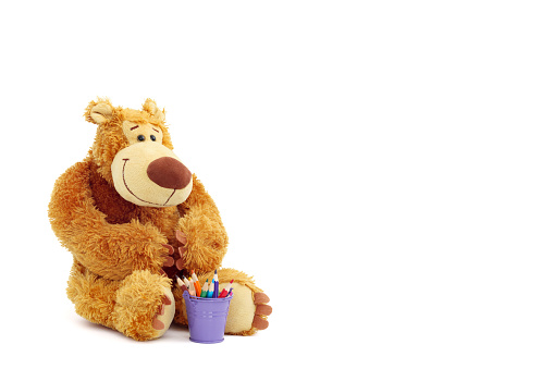 Teddy bear with colored pencils in a purple bucket on a white background.