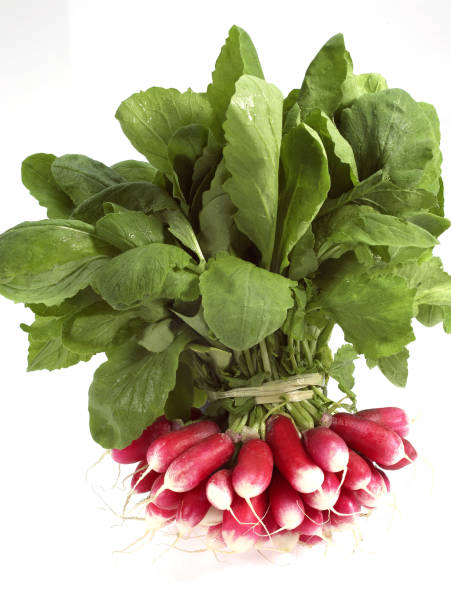 istock PINK RADISH raphanus sativus AGAINST WITH BACKGROUND 1250307581