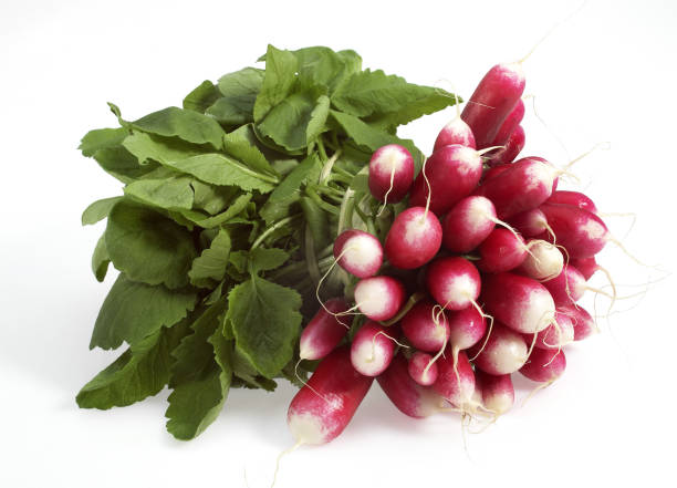 istock PINK RADISH raphanus sativus AGAINST WITH BACKGROUND 1250307583