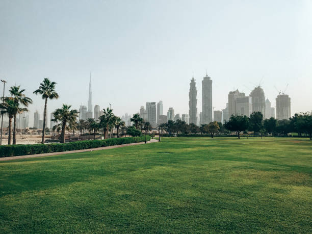 park on dubai with skyline