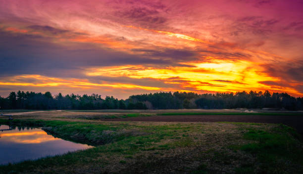 istock Dramatic cloudscape at twilight over cranberry bog next to pond 1250309930
