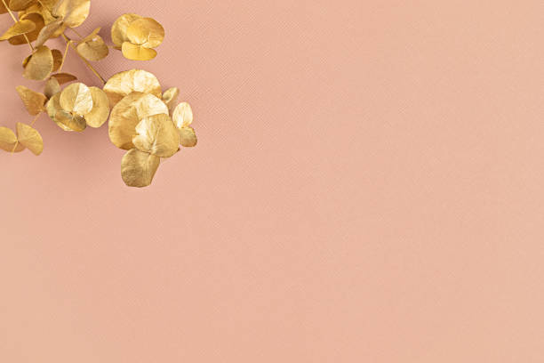 istock Golden eucalyptus branch on pink background. Top view, copy space for text. Festive, delicate botanical style background 1250311158