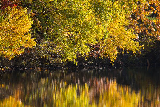 istock Mont-Saint-Bruno National Park in autumn 1250311243