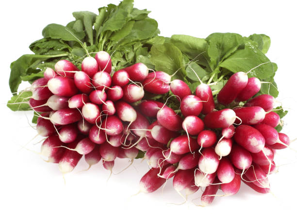 istock PINK RADISH raphanus sativus AGAINST WITH BACKGROUND 1250311268