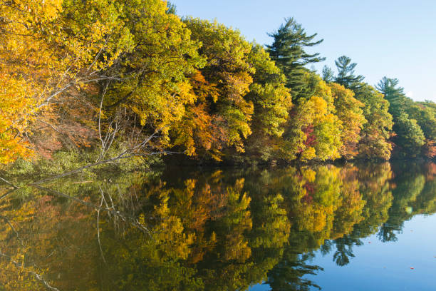 istock Mont-Saint-Bruno National Park in fall 1250311334
