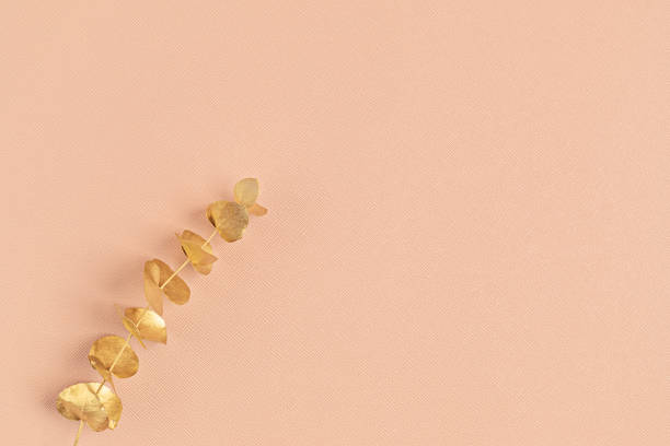 istock Golden eucalyptus branch on pink background. Top view, copy space for text. Festive, delicate botanical style background 1250311371