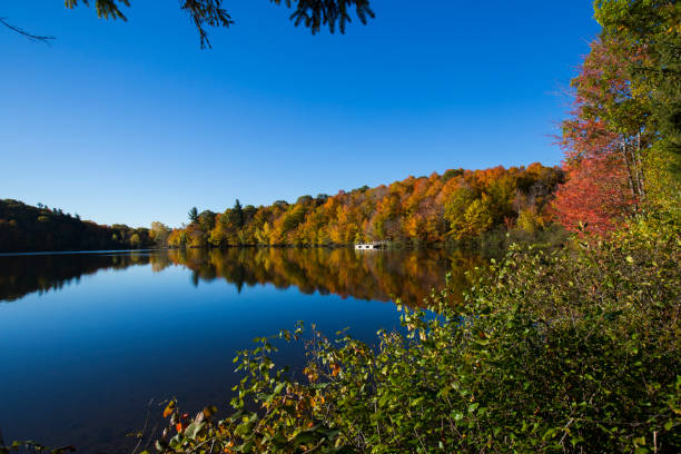 istock Mont-Saint-Bruno National Park in fall 1250311395