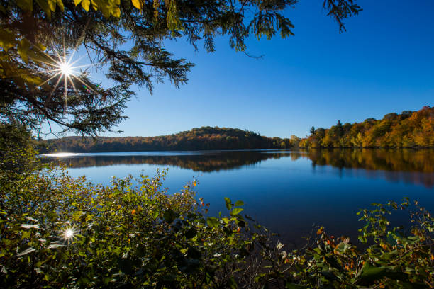 istock Mont-Saint-Bruno National Park in fall 1250311399