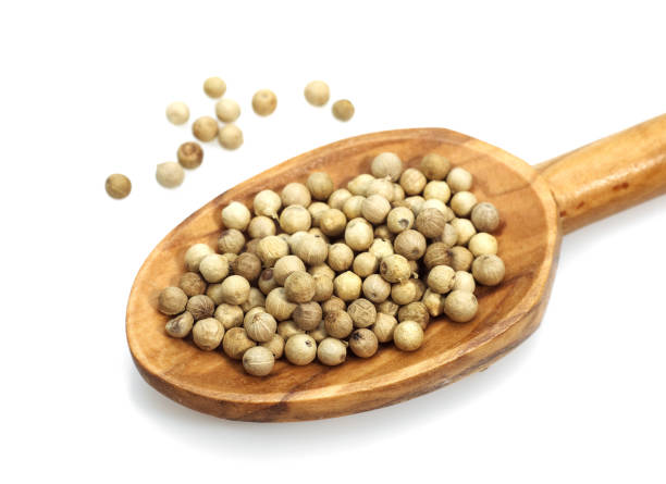 istock WHITE PEPPERCORN AGAINST WHITE BACKGROUND 1250312345
