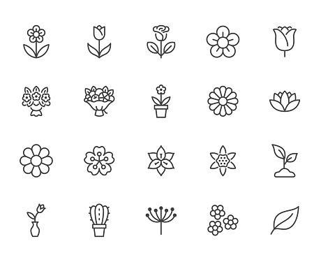 Flower line icon set. Rose, tulip in vase, fruit bouquet, spring blossom, cactus minimal vector illustration Simple outline signs for flowers delivery application. Pixel Perfect Editable Stroke.