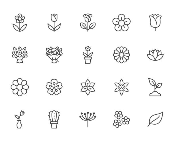花線圖示設置。玫瑰,鬱金香花瓶,水果花束,春花,仙人掌最小向量插圖簡單的輪廓標誌為鮮花交付應用。像素完美可編輯描邊 - 花 幅插畫檔、美工圖案、卡通及圖標