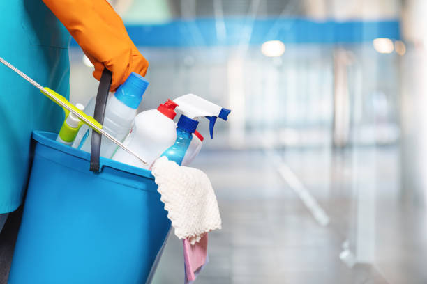 istock The concept of cleaning services. 1250313836
