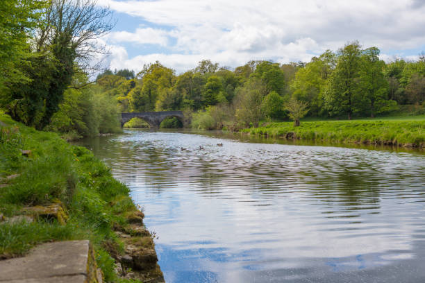 dia de verão no rio ribble, clitheroe. água suave fluindo e folhagens verdes exuberantes - ribble - fotografias e filmes do acervo