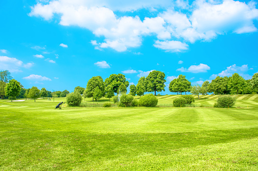 Green field with fresh grass, trees and cloudy blue sky. Golf course