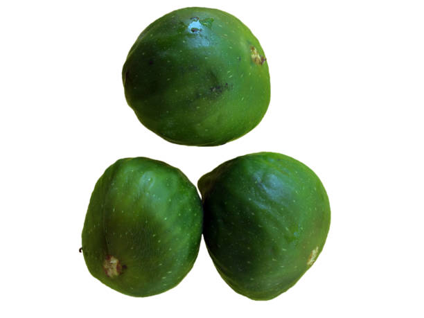 istock Green fig fruit with water drops close up top view isolated 1250313955