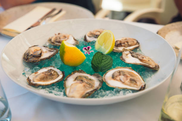 istock oysters on plate with lime and ice 1250314114