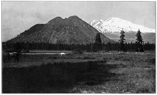 Mt Shasta and Black Butte in California, USA. Vintage etching circa late 19th century.