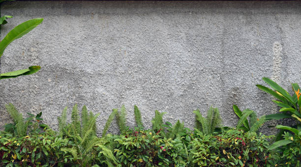 istock Grey wall of the house closeup 1250314272