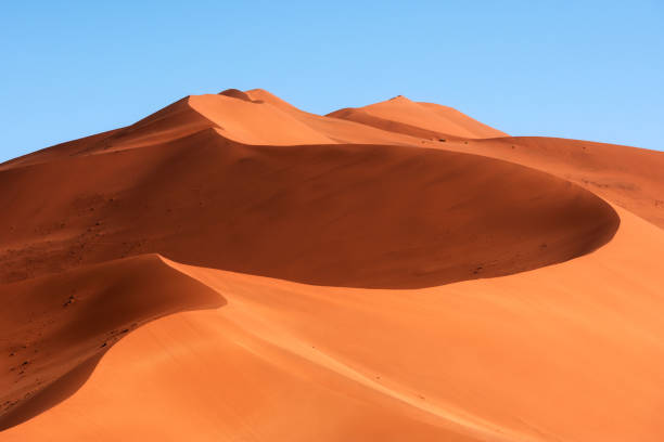 enormes dunas de arena del desierto de namibia - bizarre landscape sand blowing fotografías e imágenes de stock