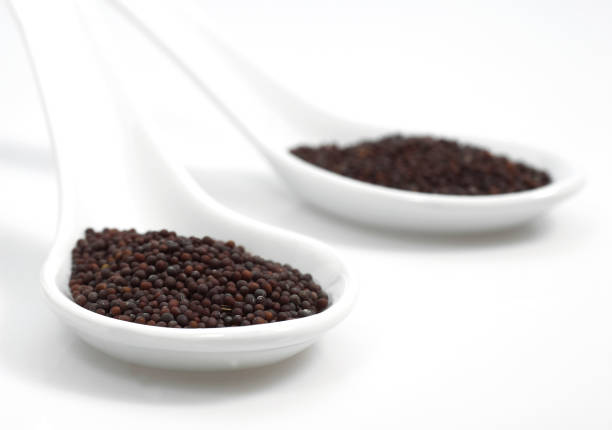 istock BLACK MUSTARD SEEDS sinapis nigra 1250316240