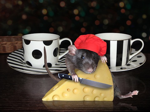 The pet rat in a red cook hat with a chef's knife cuts a big piece of cheese with holes on the table on that there are two tea cups.
