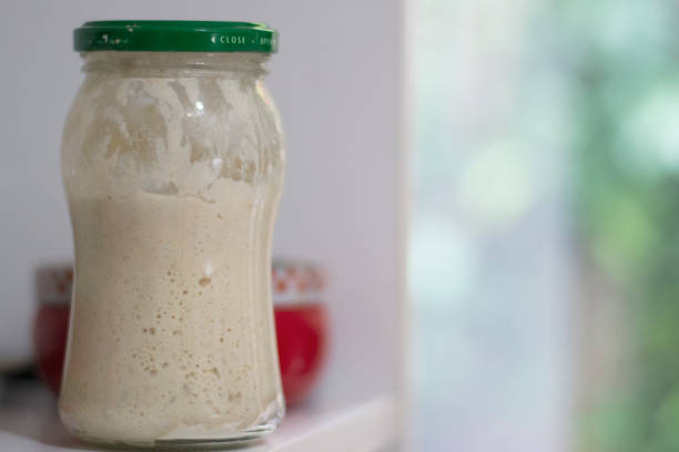 processo di crescita della pasta madre - microbiotic foto e immagini stock