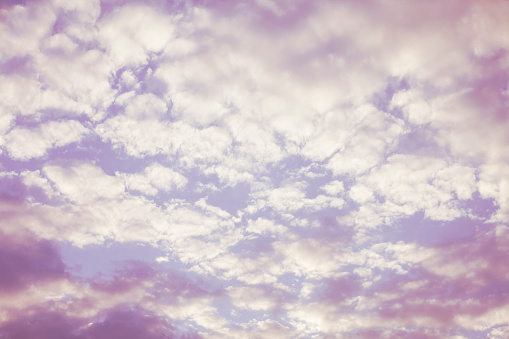 Pink sky with white cumulus clouds