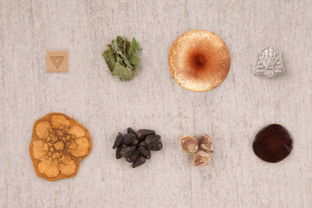 Psychedelic assisted psychotherapy. Psychedelic-assisted psychotherapy. MDMA, LSD, ayahuasca, psilocybin mushroom, and various psychoactive seeds flat lay. Synthetic and natural drugs. banisteriopsis caapi stock pictures, royalty-free photos & images