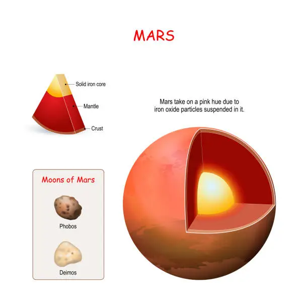 Vector illustration of Mars internal structure.