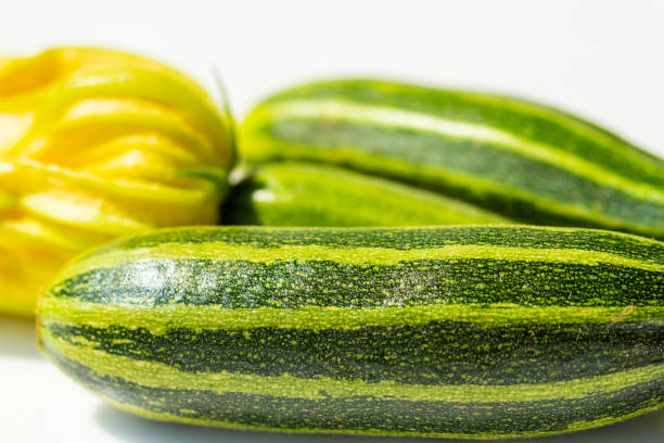 Zucchini in different sizes