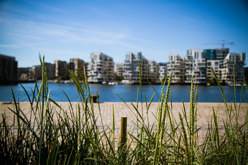 Cityscape with contemporary office buildings and residental flats at the up class oceanfront at Islands Brygge and Kalvebod Brygge in Copenhagen, Denmark