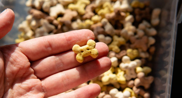 istock nutritional crackers for dogs close-up 1250321375