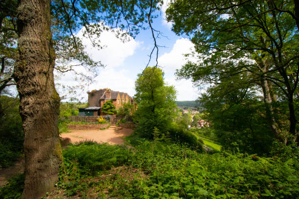 istock Forest view on houses in cave rock overseeing hillside background 1250322000
